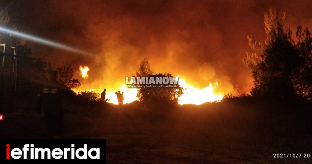 Φθιώτιδα: Φωτιά καίει κοντά στο Μαρτίνο | ΕΛΛΑΔΑ