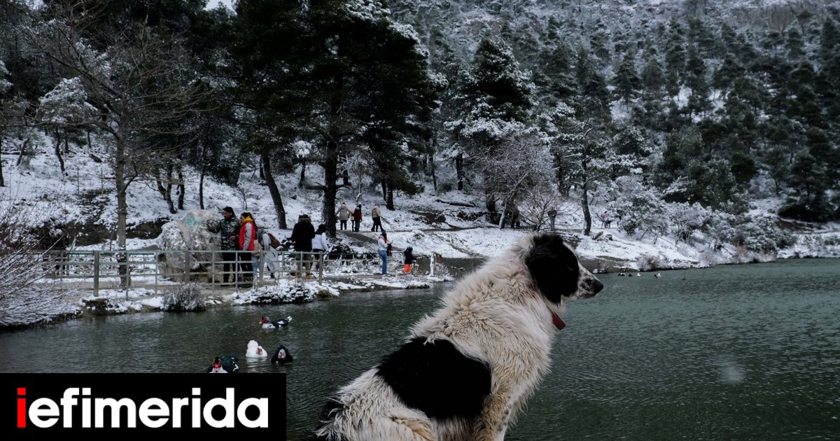 Κακοκαιρία Ελπίς: Η χώρα στην κατάψυξη -Πολικές θερμοκρασίες και την Κυριακή, πού θα χιονίσει - iefimerida.gr