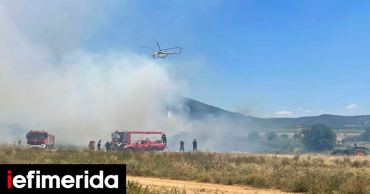 Μεγάλη φωτιά στον Έβρο: Επιχειρούν επίγειες και εναέριες δυνάμεις -Εκκενώθηκαν τα Παιδικά Χωριά SOS