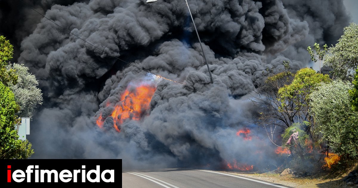 Ανεξέλεγκτη η φωτιά στα Κρέστενα Ηλείας: Καίγονται σπίτια στη Σκιλλουντία, εκκενώνεται η κατασκήνωση στη Φρίξα