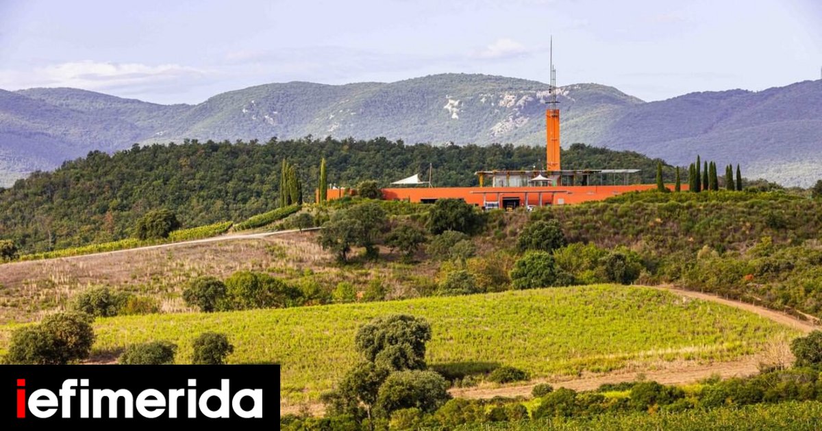 Vigneto unico progettato dai migliori architetti -Opportunità di viaggiare all’estero