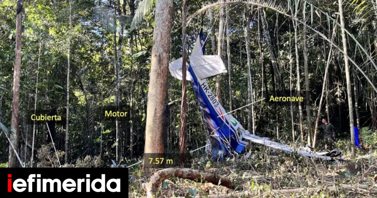 Amazon: Signs that 4 children may be alive, a month after the plane crash Amazon: Signs that 4 children may be alive, a month after the plane crash