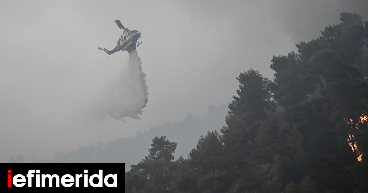 Italia: Non ha senso che l’UE non disponga di una propria flotta antincendio