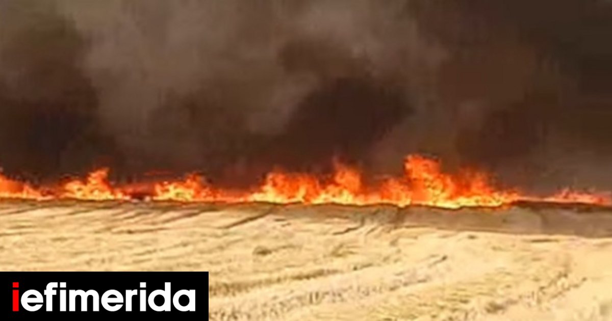 Φθιώτιδα Δεύτερο πύρινο μέτωπο μετά τη Λαμία Εκκενώνεται η Κάτω