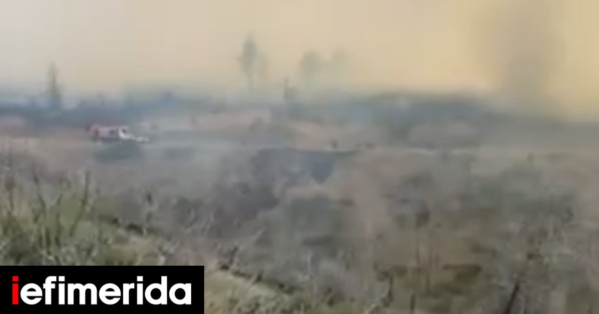 Fire in Drosophiki, Afitness, unprecedented in action: massive mobilization of fire department