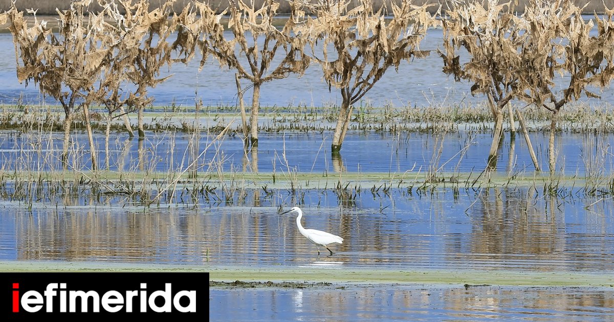 www.iefimerida.gr
