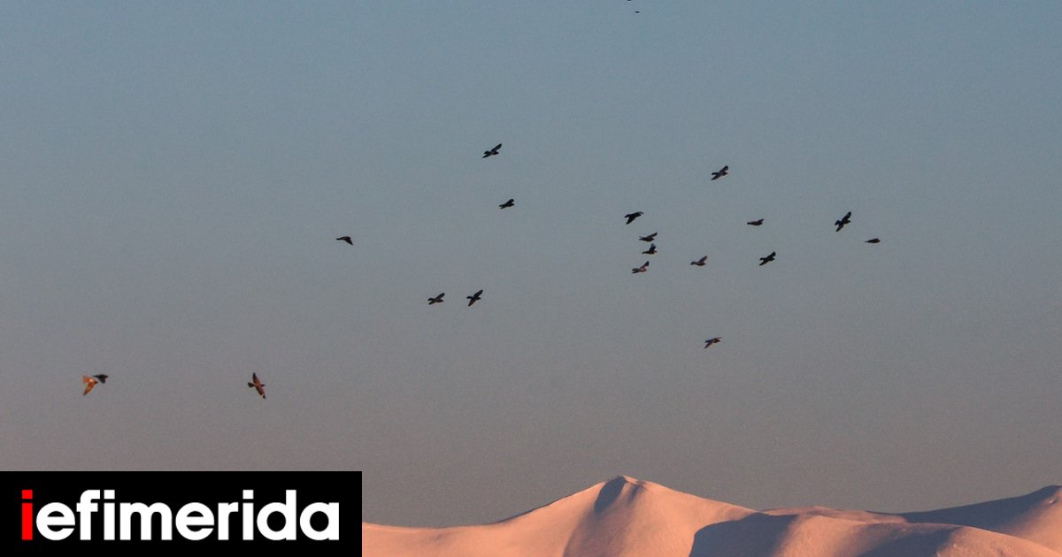 Fourteen Alpine Rescuers and Thermal Drones Search Mount Olympus for Missing Spanish Climber, 25