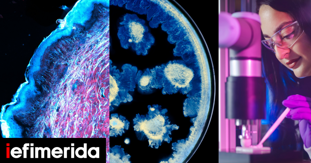 L’oreal & Institut Pasteur: Μια ιστορική συνεργασία για την προαγωγή ...