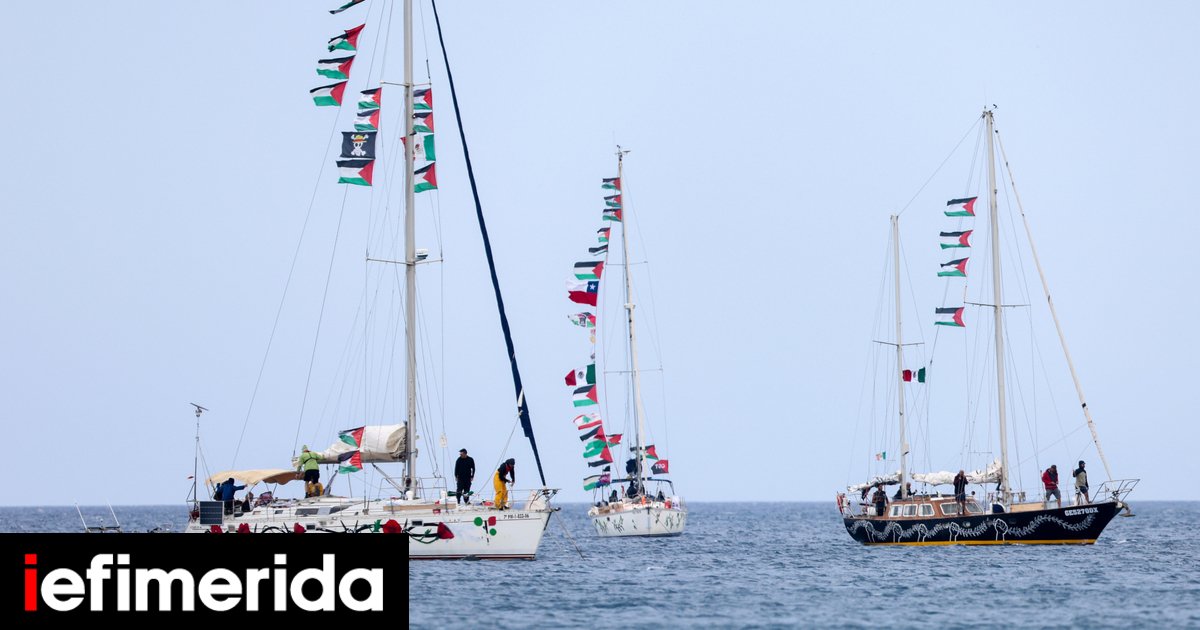 Gaza Flotilla Activists Flown Home From Crete After Israel Forces Them Off Ships in Mediterranean