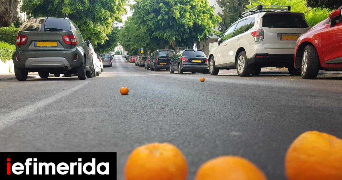 https://www.iefimerida.gr/sites/default/files/styles/facebook/public/2026-07/orange_plant.jpg?itok=TekXWY2-