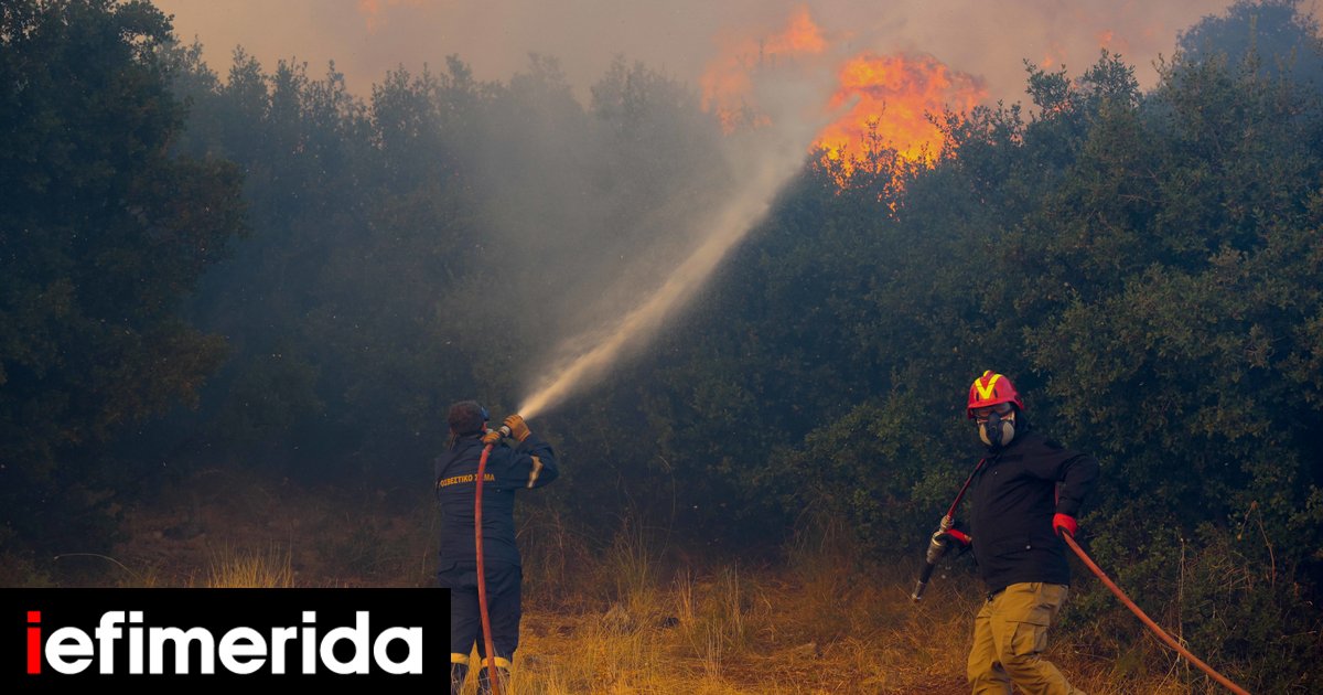 Ηλεία: Δύο πυρκαγιές σε Κάτω Σαμικό και Αγρίδι - Κινητοποιήθηκαν 4 εναέρια πυροσβεστικά μέσα