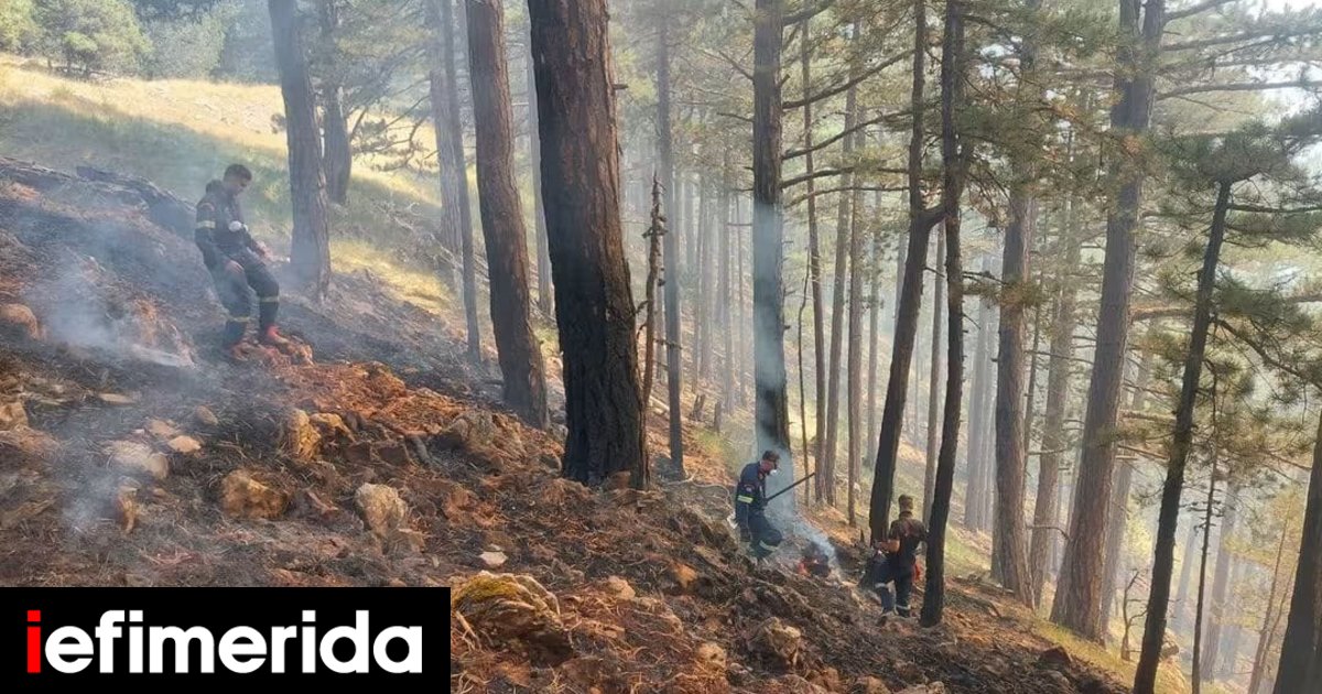 Βελτιωμένη η εικόνα της φωτιάς στην Κόνιτσα -Οι δασοκομάντος κατάφεραν να φτάσουν σε απόκρημνα σημεία στο δάσος, δείτε εικόνες