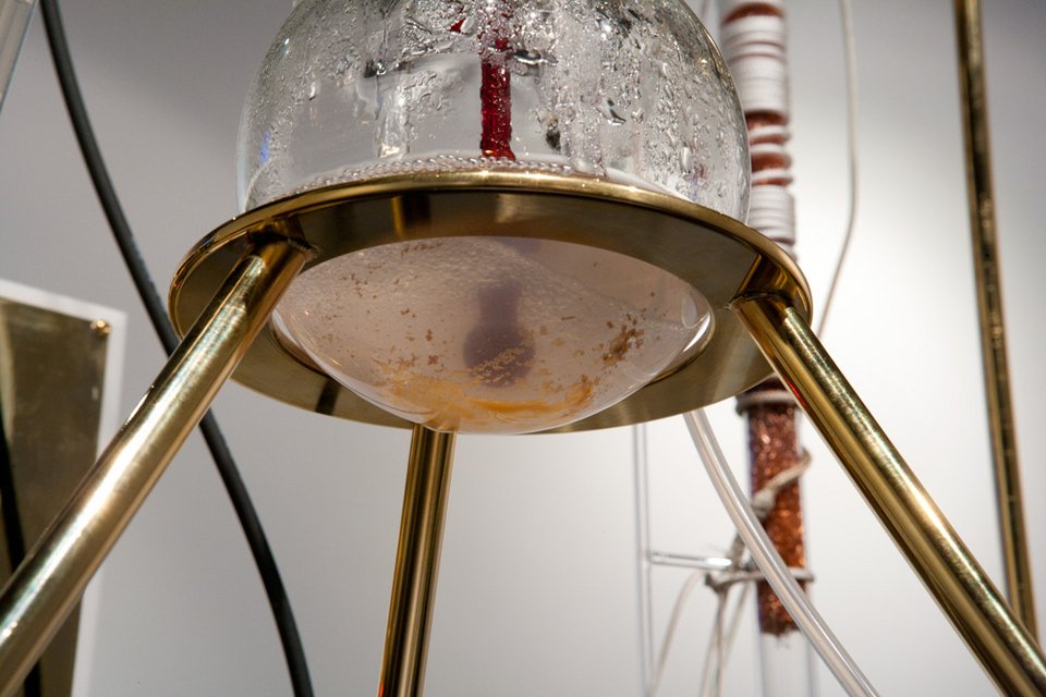 Βακτήρια-αλχημιστές παράγουν χρυσάφι 24 καρατίων από φυσικό υγρό [βίντεο-εικόνες] | iefimerida.gr 0