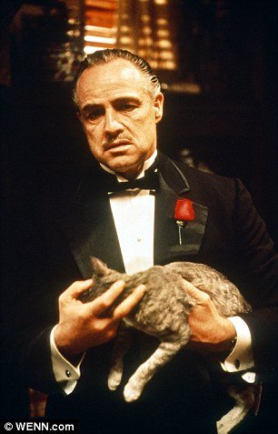 Πωλείται το σπίτι του «Νονού» -Το εμβληματικό σκηνικό της οικογένειας Κορλεόνε [εικόνες] | iefimerida.gr 1