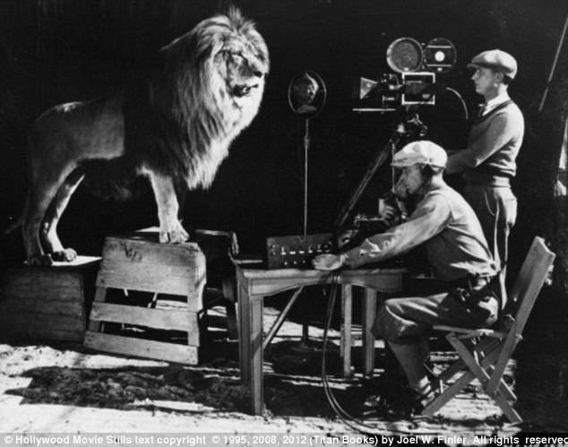 H αλήθεια πίσω από τις φωτογραφίες διασήμων [εικόνες] | iefimerida.gr 8