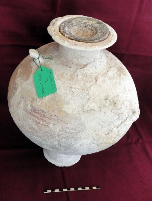 Σημαντική ανακάλυψη στην Αλικαρνασσό: Βρέθηκαν αντικείμενα της Μυκηναϊκής εποχής [εικόνες] | iefimerida.gr 0