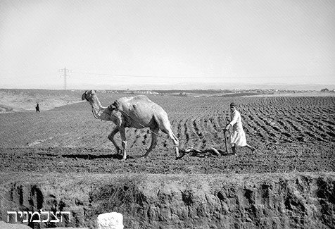 Πώς ήταν το Ισραήλ πριν γίνει κράτος: Ιστορικές εικόνες από την αθώα εποχή [εικόνες] | iefimerida.gr 7