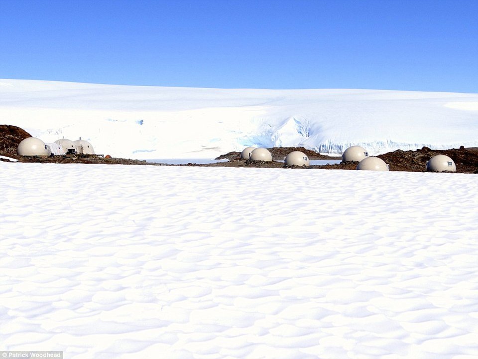Το «σαφάρι» των κροίσων: Μένουν σε ιγκλού και πίνουν σαμπάνιες δίπλα στους πιγκουίνους της Ανταρκτικής [εικόνες] | iefimerida.gr 11