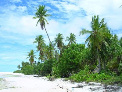 Το νησί που βρίσκεται στην... αρχή της Γης -Ενας εξωτικός παράδεισος που καταπίνει σιγά σιγά η θάλασσα [εικόνες] | iefimerida.gr 6