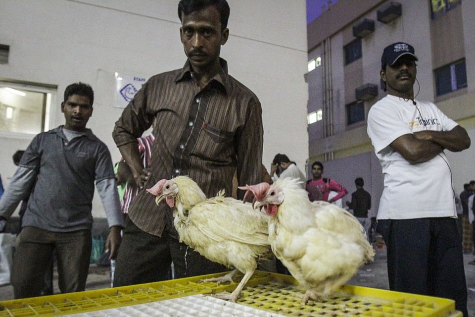 Η άλλη όψη του Ντουμπάι δεν είναι καθόλου φανταχτερή -Στα άδυτα του στρατοπέδου συγκέντρωσης των εργατών που χτίζουν τους ουρανοξύστες [εικόνες] | iefimerida.gr 2