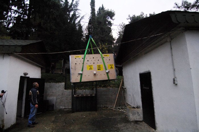 Πρωτόγνωρες εικόνες -Η τεράστια επιχείρηση μεταφοράς του καταθλιπτικού τίγρη Φοίβου των Τρικάλων στις ΗΠΑ για νοσηλεία [εικόνες] | iefimerida.gr 13