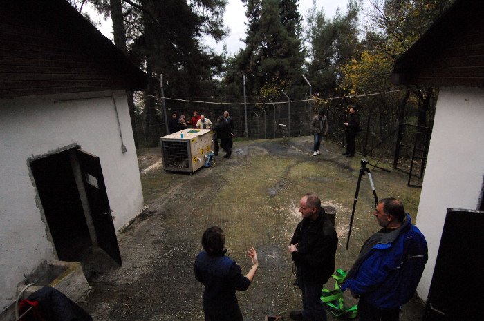 Πρωτόγνωρες εικόνες -Η τεράστια επιχείρηση μεταφοράς του καταθλιπτικού τίγρη Φοίβου των Τρικάλων στις ΗΠΑ για νοσηλεία [εικόνες] | iefimerida.gr 17