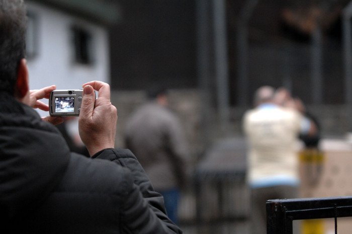 Πρωτόγνωρες εικόνες -Η τεράστια επιχείρηση μεταφοράς του καταθλιπτικού τίγρη Φοίβου των Τρικάλων στις ΗΠΑ για νοσηλεία [εικόνες] | iefimerida.gr 16