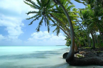 Το νησί που βρίσκεται στην... αρχή της Γης -Ενας εξωτικός παράδεισος που καταπίνει σιγά σιγά η θάλασσα [εικόνες] | iefimerida.gr 5