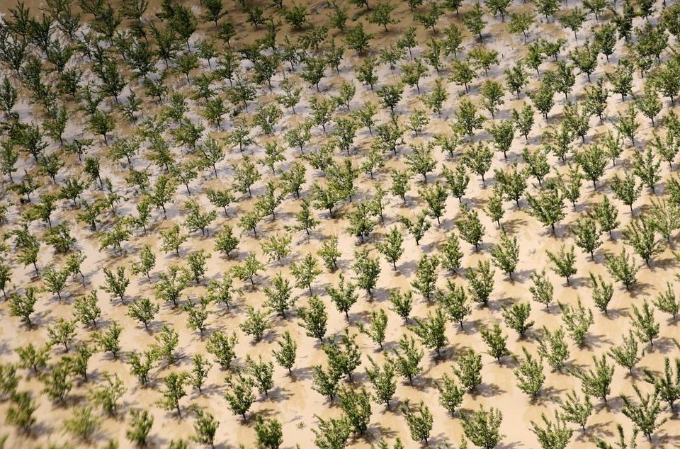 Μαγεία -Αεροφωτογραφίες της Γης σκέτοι πίνακες ζωγραφικής [εικόνες] | iefimerida.gr 8