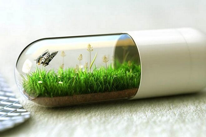 Η Κρήτη θα νικήσει τη γρίπη με ένα φυτικό χάπι [εικόνες] | iefimerida.gr 2