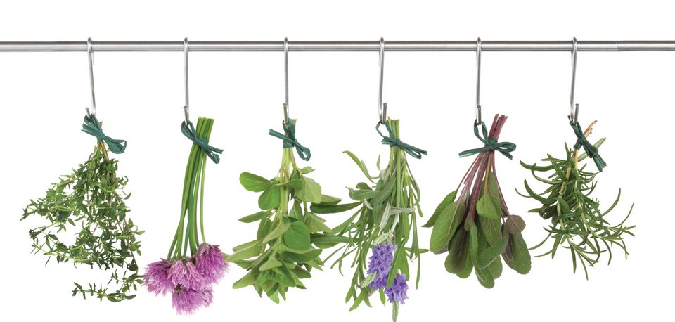 Η Κρήτη θα νικήσει τη γρίπη με ένα φυτικό χάπι [εικόνες] | iefimerida.gr 3