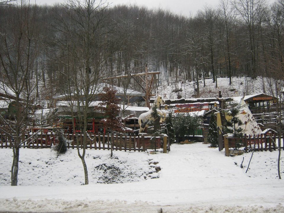 Ενας μικρός... Αμαζόνιος στην Πιερία -Στα άδυτα του μοναδικού Ινδιάνικου Χωριού στην Ελλάδα [εικόνες] | iefimerida.gr 10