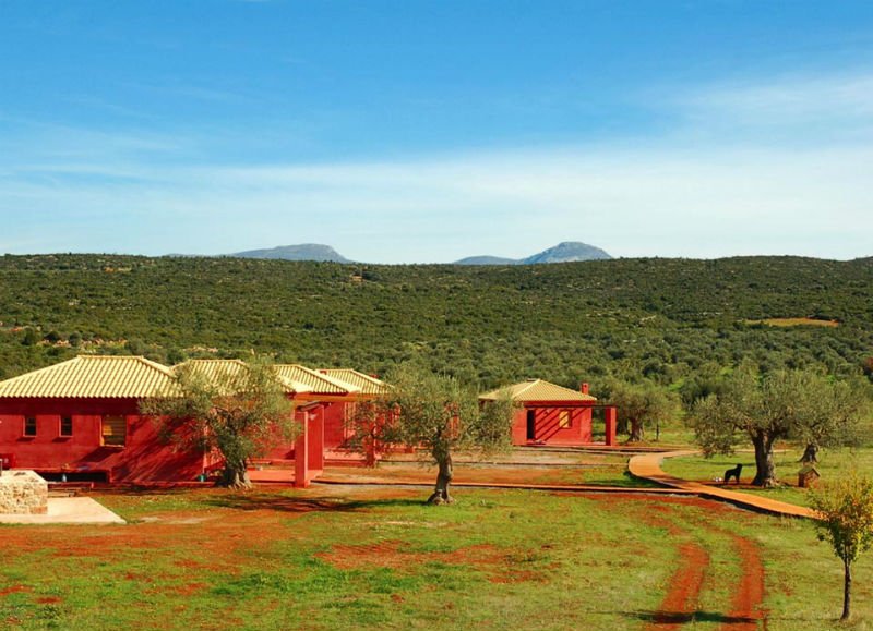Υμνοι Γερμανών για τη Λακωνία: Εκεί είναι ο παράδεισος του αγροτουρισμού [εικόνες] | iefimerida.gr 4