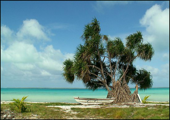 Το νησί που βρίσκεται στην... αρχή της Γης -Ενας εξωτικός παράδεισος που καταπίνει σιγά σιγά η θάλασσα [εικόνες] | iefimerida.gr 3
