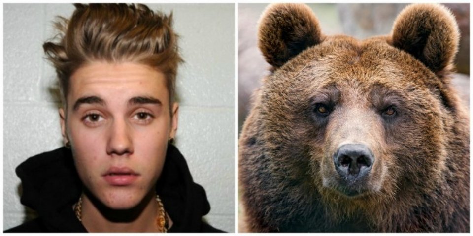 Οι μεγαλύτερες απάτες του ίντερνετ -Ειδήσεις που ξεγέλασαν τους πάντες, αλλά δεν είχαν ίχνος αλήθειας [εικόνες] | iefimerida.gr 5