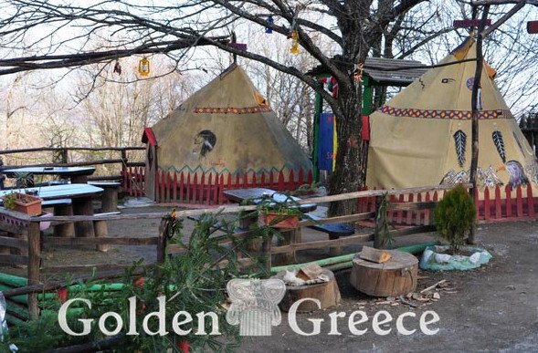 Ενας μικρός... Αμαζόνιος στην Πιερία -Στα άδυτα του μοναδικού Ινδιάνικου Χωριού στην Ελλάδα [εικόνες] | iefimerida.gr 15