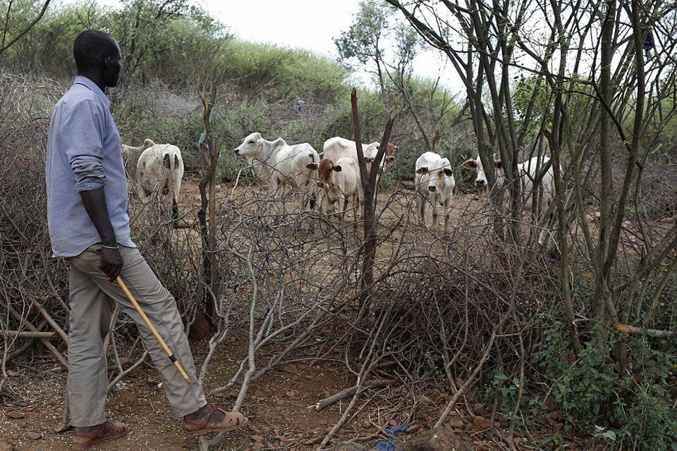 Στα άδυτα των νυφοπάζαρων της Κένυας -Το δεύτερο σοκ, μετά την κλειτοριδεκτομή, που βιώνουν τα κορίτσια της φυλής Ποκότ [εικόνες] | iefimerida.gr 19