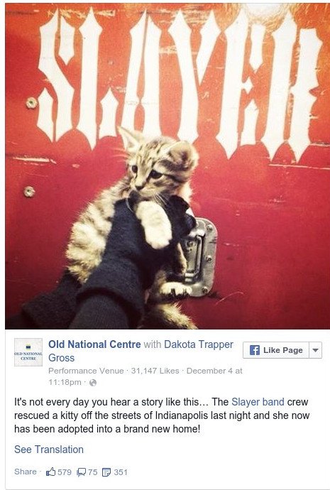 Και οι «σκληροί» έχουν ψυχή: Πως οι... Slayer έσωσαν ένα αδέσποτο γατάκι από σίγουρο θάνατο [εικόνα] | iefimerida.gr 0