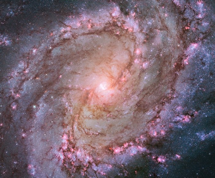 Οταν το σύμπαν ζωγραφίζει- Εντυπωσιακές φωτογραφίες από τον Γαλαξία μας [εικόνες]  | iefimerida.gr 11