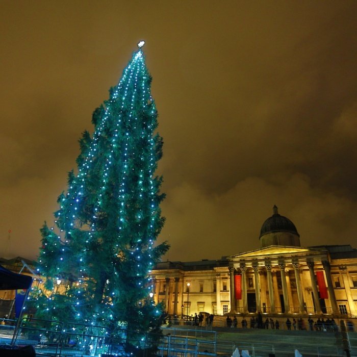 Τα χριστουγεννιάτικα δέντρα του κόσμου -Παραδοσιακά, περίεργα, πλωτά, ακόμη και ανάποδα [εικόνες] | iefimerida.gr 14