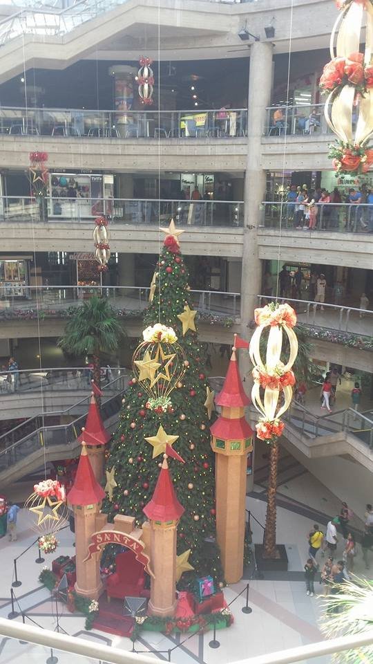 Αννα Χατζησοφιά: Η βουλευτής του ΣΥΡΙΖΑ που έλειπε από την ψηφοφορία στη Βουλή – Είναι στη Βενεζουέλα [εικόνες] | iefimerida.gr 2