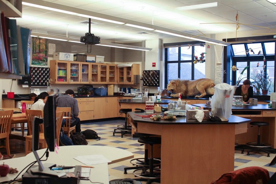 Αυτό είναι το πιο ελίτ οικοτροφείο των ΗΠΑ -Εκεί που πηγαίνουν τα παιδιά των πλούσιων [εικόνες] | iefimerida.gr 10