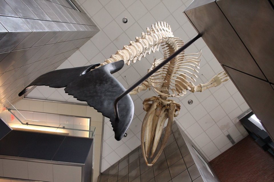 Αυτό είναι το πιο ελίτ οικοτροφείο των ΗΠΑ -Εκεί που πηγαίνουν τα παιδιά των πλούσιων [εικόνες] | iefimerida.gr 11