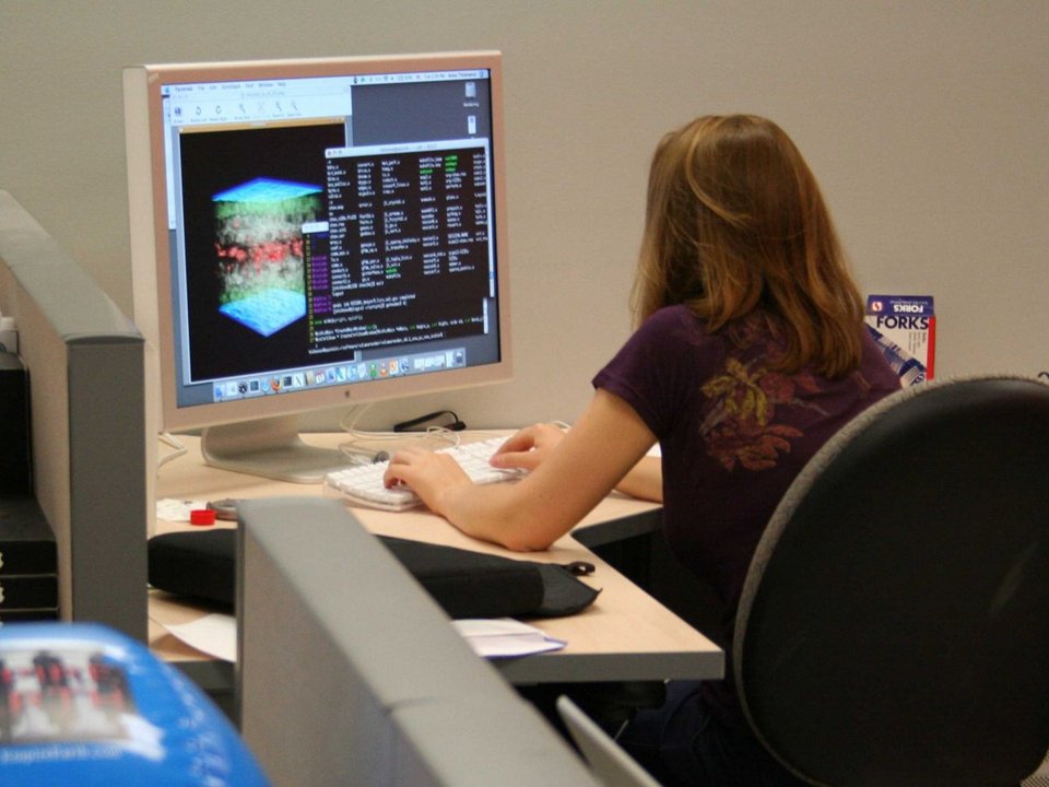 Σπουδές που εξασφαλίζουν σίγουρους και καλούς μισθούς -Ποιοι είναι οι 15 κλάδοι [λίστα] | iefimerida.gr 14