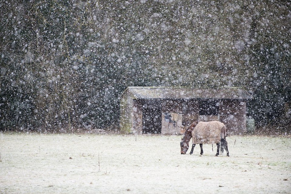 Πολικό ψύχος στη Βρετανία: Θα πεθαίνει ένας κάθε 7 λεπτά προειδοποιούν οι αρχές [εικόνες] | iefimerida.gr 11