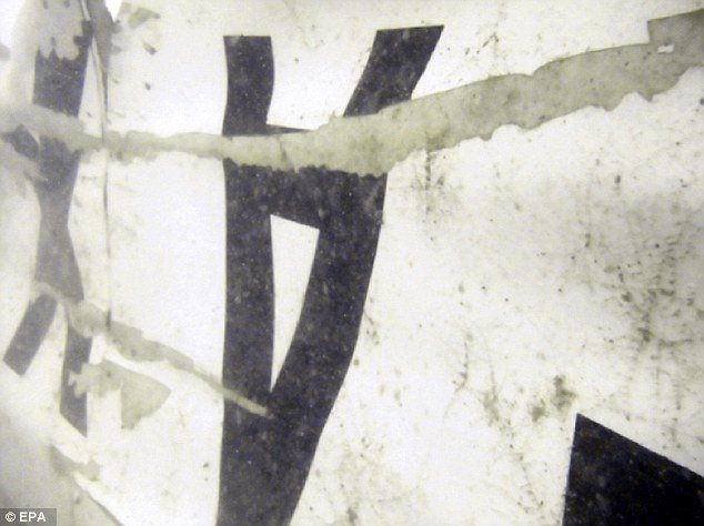 Οι πρώτες φωτογραφίες από το αεροπλάνο της AirAsia στον βυθό της θάλασσας | iefimerida.gr 2