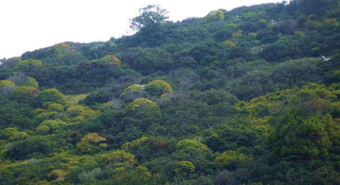 Μόδι: Γιατί το ελληνικό αυτό νησί, αν και περιζήτητο, παραμένει απούλητο [εικόνες] | iefimerida.gr 4