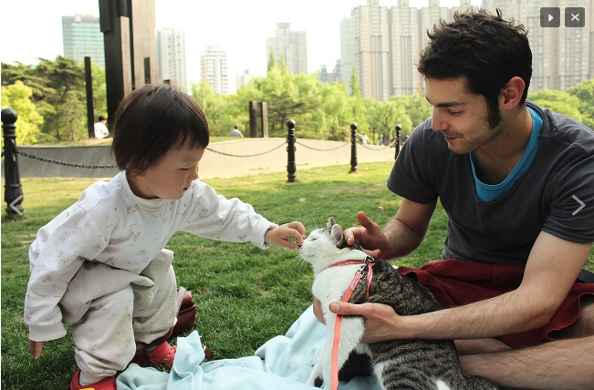 O Ελληνας που έζησε για δύο χρόνια στη Σαγκάη -Τι λέει για τη ζωή στην Κίνα [εικόνες] | iefimerida.gr 2