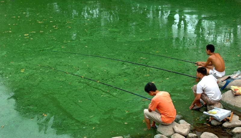 Φωτογραφίες σοκ: Εκεί όπου τα νερά λιμνών και θαλασσών γίνονται κόκκινα και κίτρινα από τη μόλυνση [εικόνες] | iefimerida.gr 3