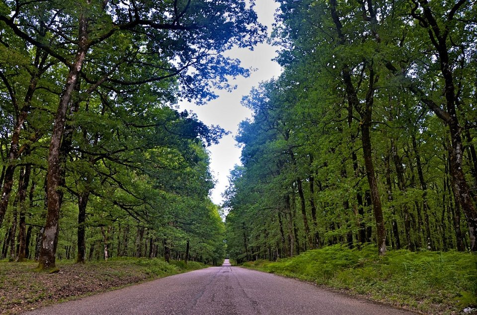 O πρώην βουλευτής της ΝΔ που έγινε βοσκός με 1.000 πρόβατα -Πήζει γιαούρτι και φτιάχνει φέτα [εικόνες] | iefimerida.gr 2